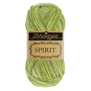 Scheepjes Spirit nr. 307 groen