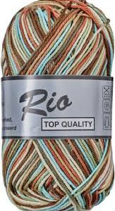 Lammy Yarns Rio 638 bruin blauw