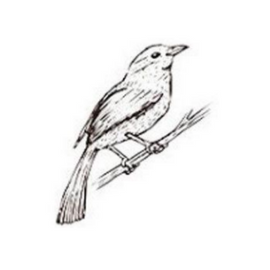 Stempel vogel