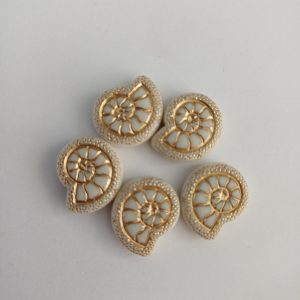 Witte kralen schelpen 5 stuks