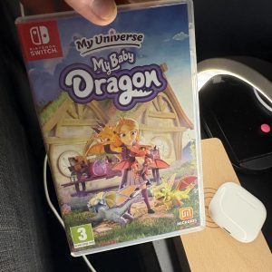 Nintendo switch game